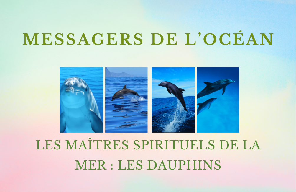 Les Maîtres Dauphins et leurs pouvoirs